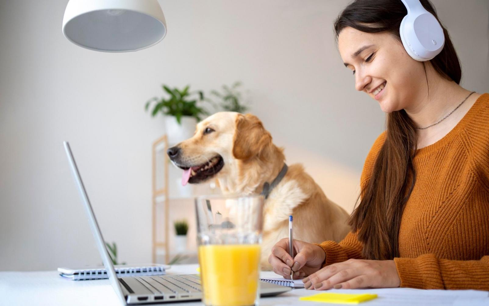 Illustration du processus d'apprentissage et outils pédagogiques